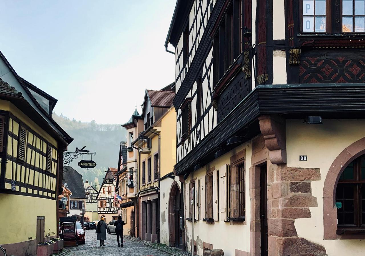 Maison Duplex, Avec Terrasse Dans Strasbourg Bagian luar foto